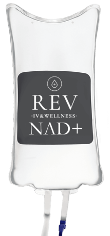 rev IV NAD trans rev IV NAD trans